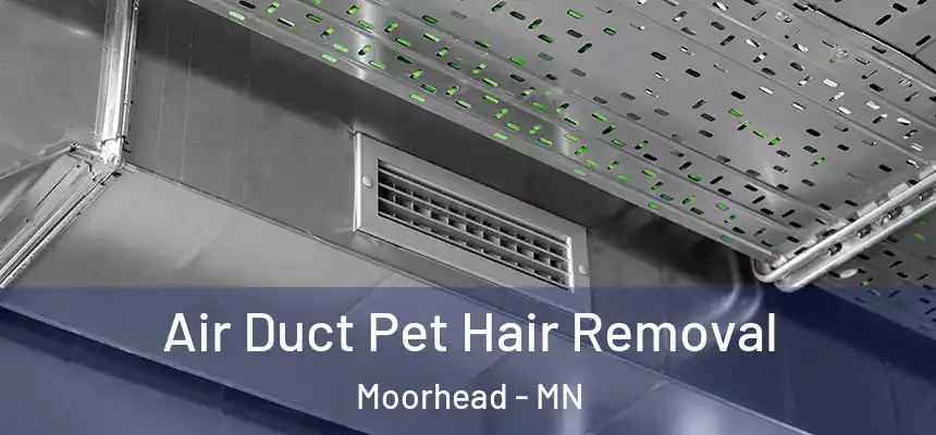  Air Duct Pet Hair Removal Moorhead - MN