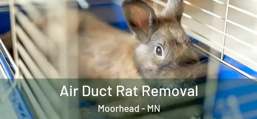 Air Duct Rat Removal Moorhead - MN