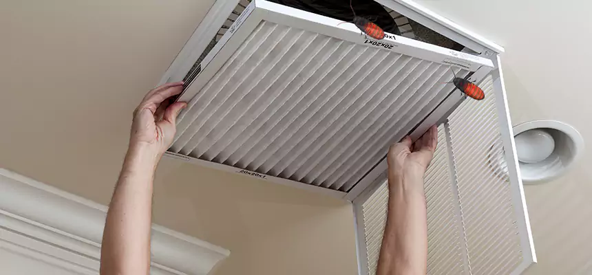 Preventive Cockroach-Proofing for Ducts in Moorhead