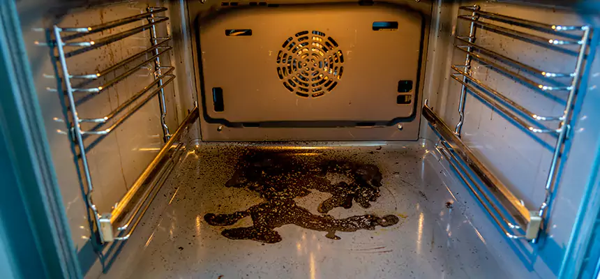 Our Dryer Vent Mold Cleaning Services in Moorhead, MN