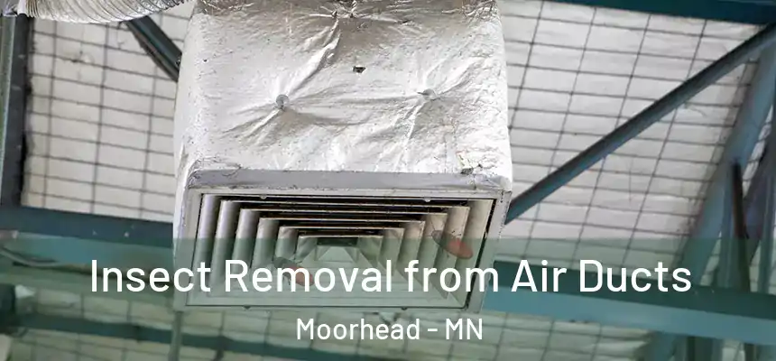 Insect Removal from Air Ducts Moorhead - MN