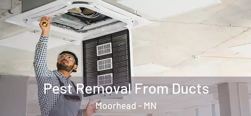  Pest Removal From Ducts Moorhead - MN