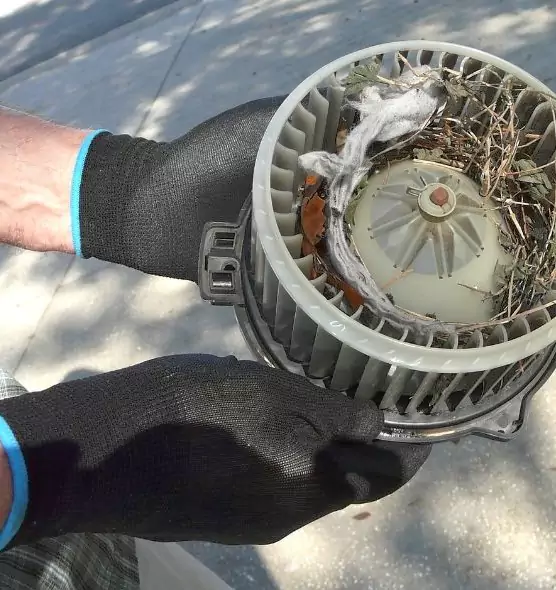 About Air Duct Rat Removal in Moorhead, MN