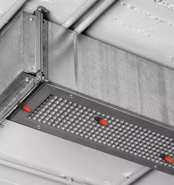Affordable Insect Removal from Air Ducts in Moorhead, MN