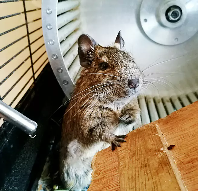 Why Homeowners & Businesses Trust Us Moorhead, MN